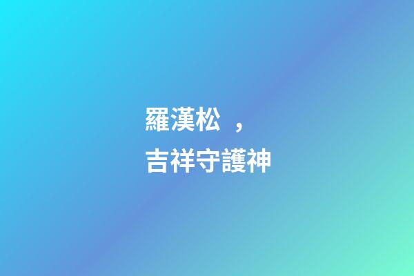 羅漢松，吉祥守護神